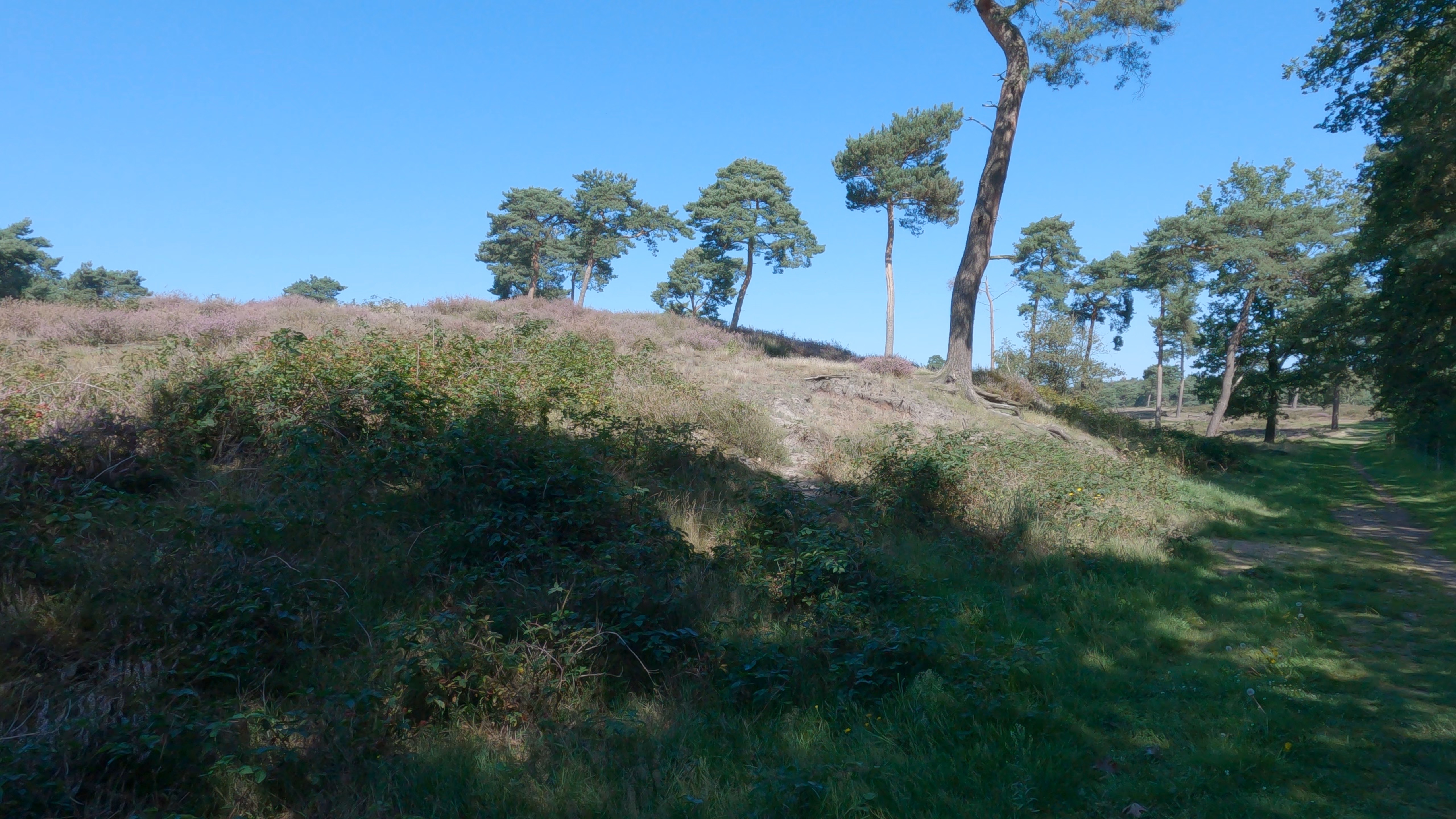 Backpacking introduction