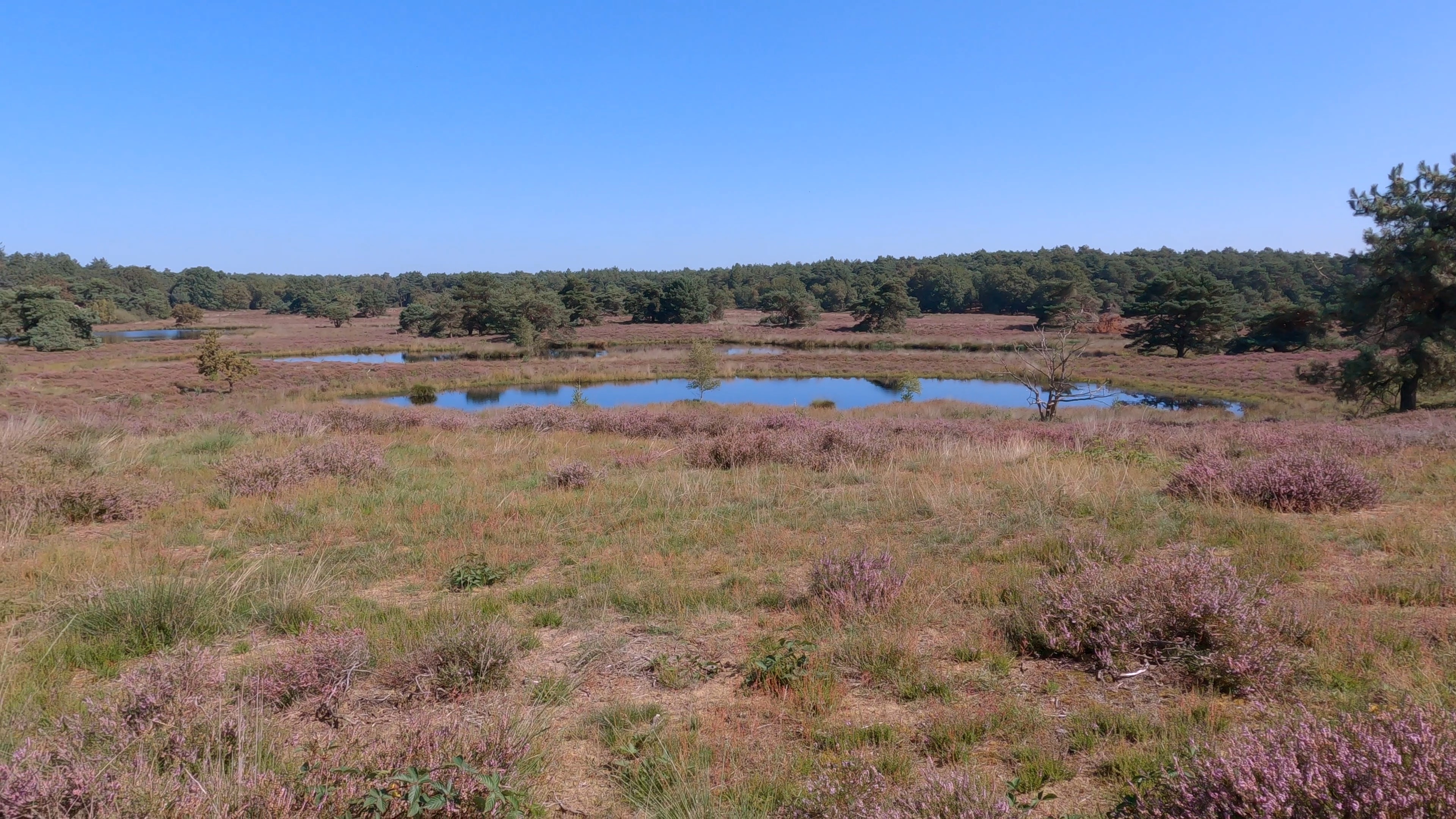 Swolgen to Vierlingsbeek