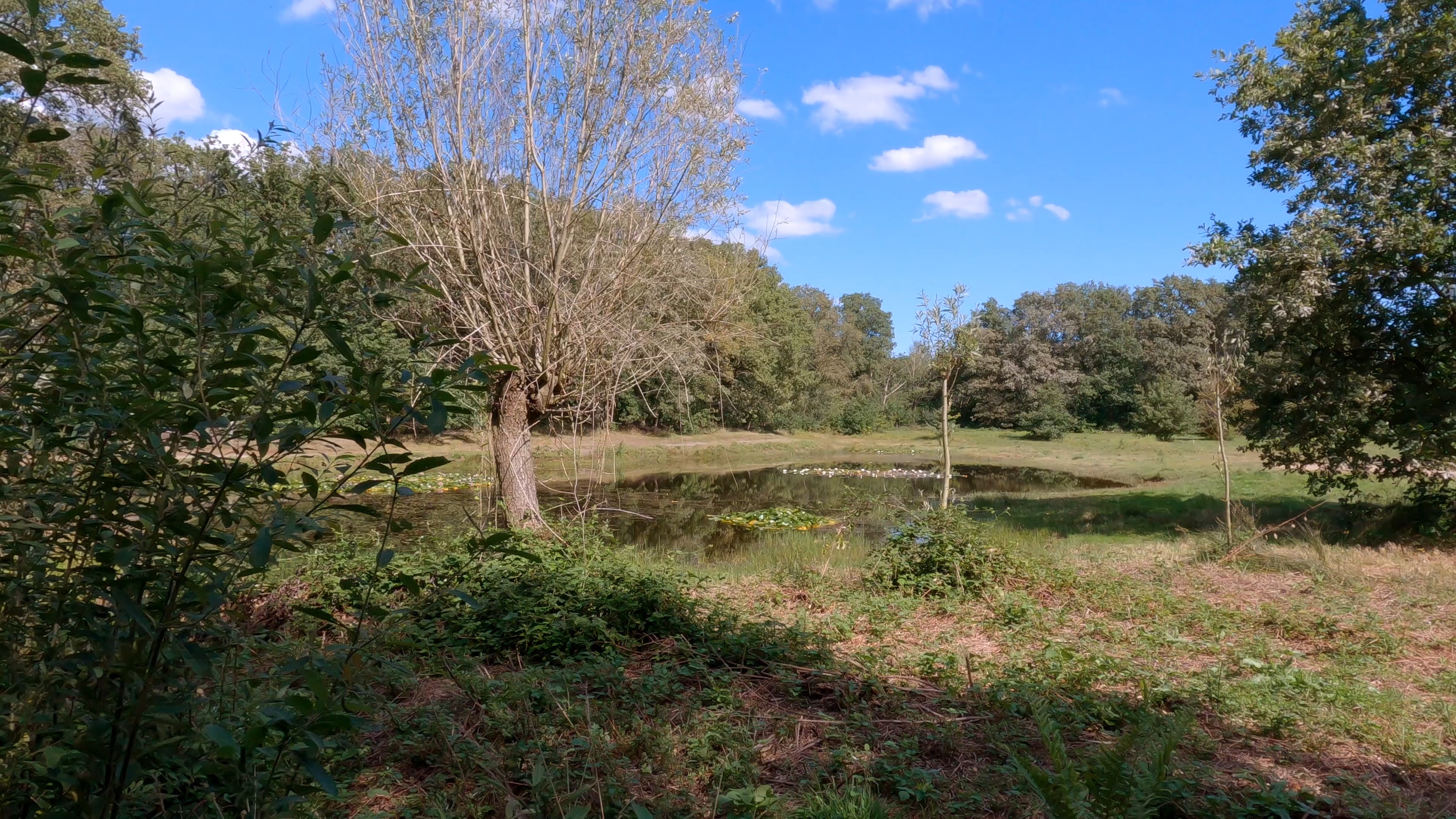 Vierlingsbeek to Gennep